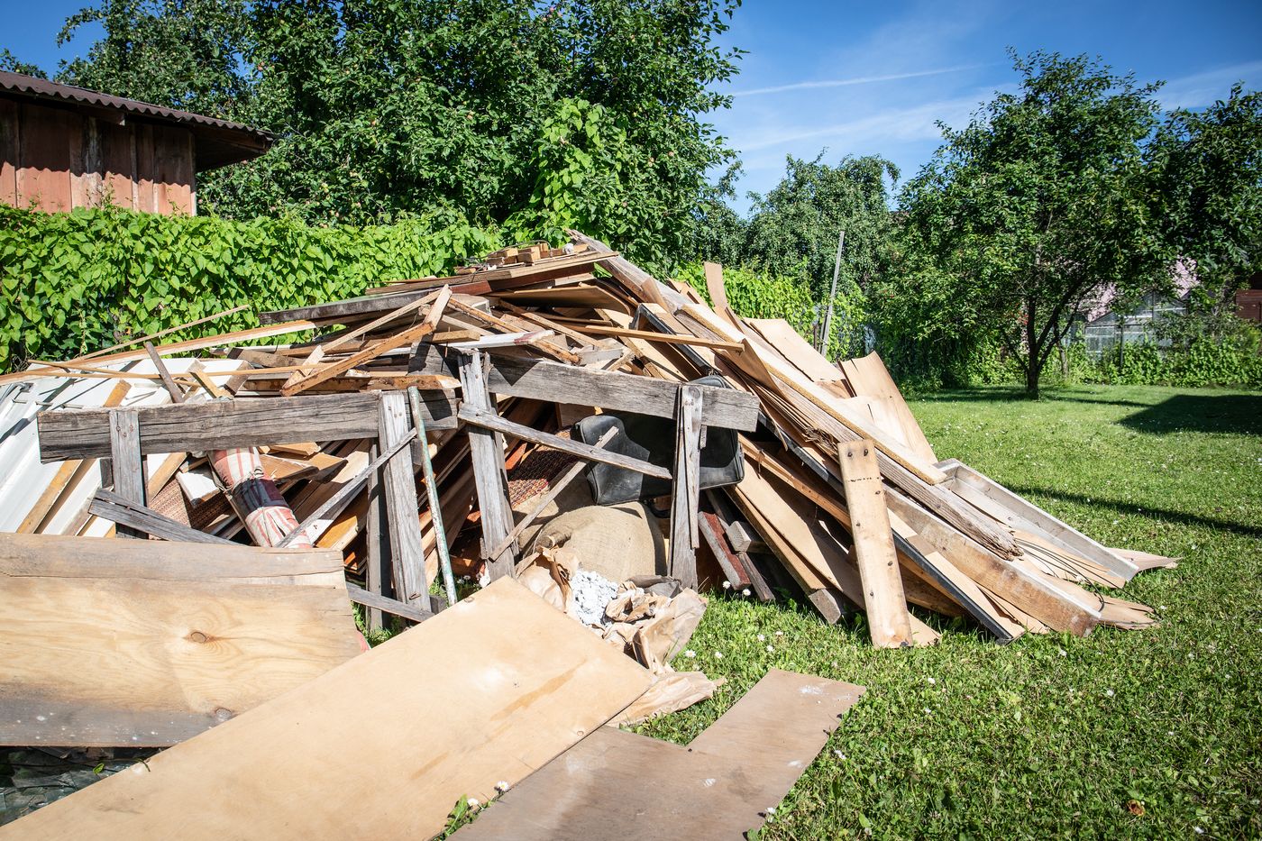 Yard waste before removal
